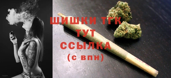 стаф Видное