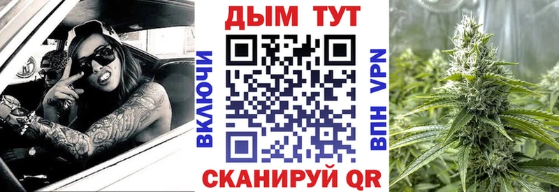 OMG маркетплейс  Льгов  Каннабис сатива 
